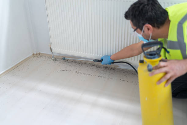 Best Commercial Pest Control Services  in Bainbridge, PA