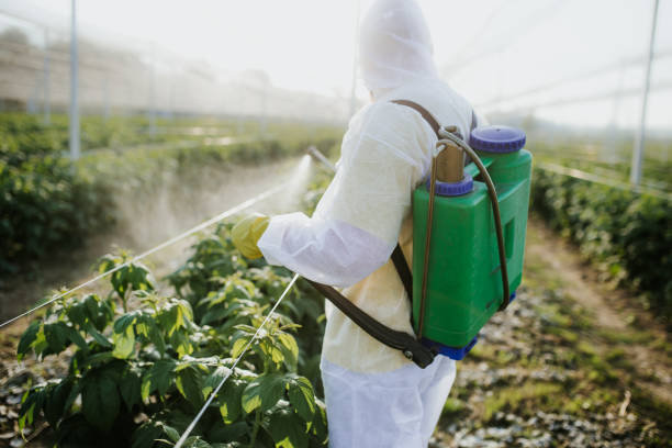 Best Pest Control Near Me in Bainbridge, PA